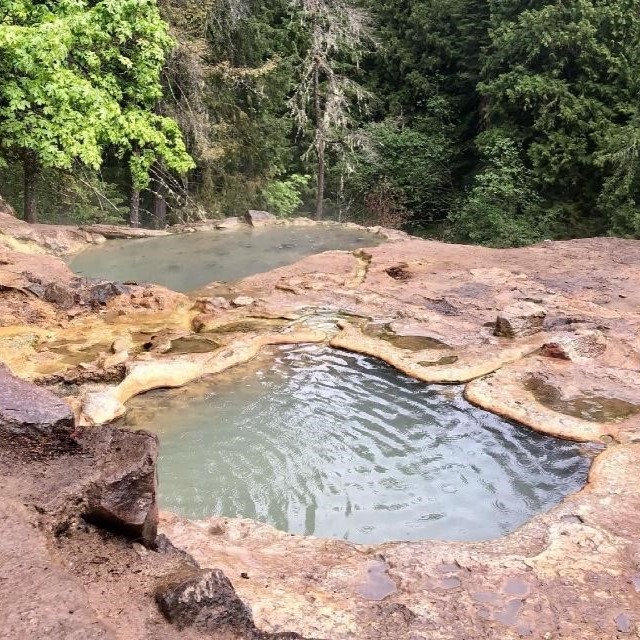 Umpqua Forest Hot Springs in Oregon: What to Expect