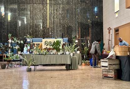 Wide selection of plants for sale at the Fondy winters farmers market