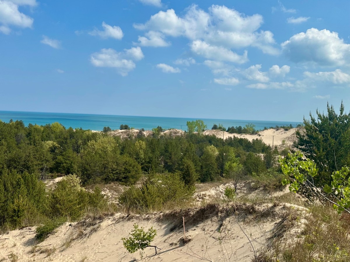 Guide to Indiana Dunes National Park: Natural Wonders