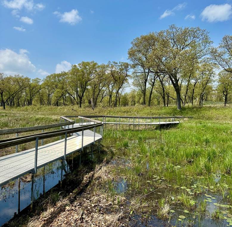 5 Hikes for Beginners at Indiana Dunes National Park